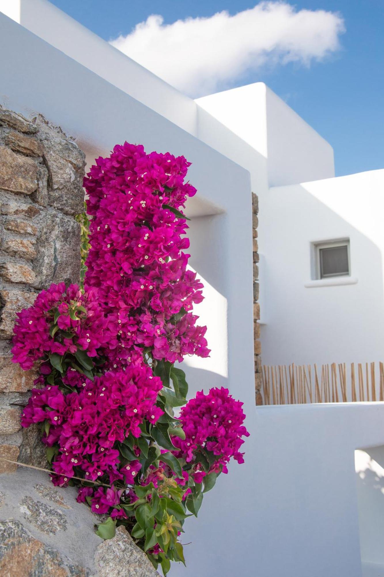 Bed and Breakfast The Summit Of Mykonos Kalo Livadi Exteriér fotografie